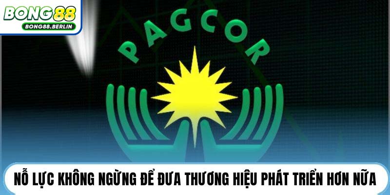 Nỗ lực không ngừng để đưa thương hiệu phát triển hơn nữa